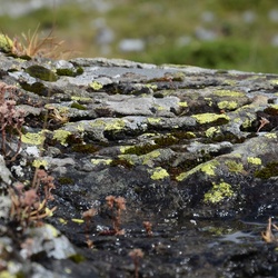 2015-07 Savoie/Refuge du saut/DSC_0259.JPG